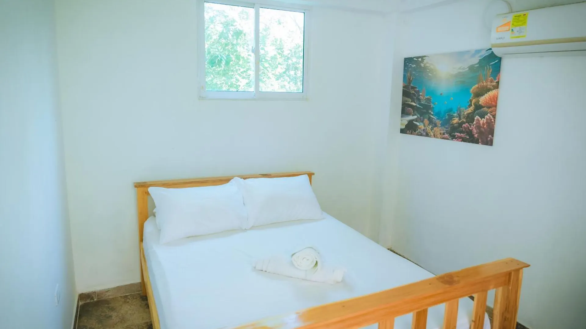 Perla Negra House Hostel Cartagena